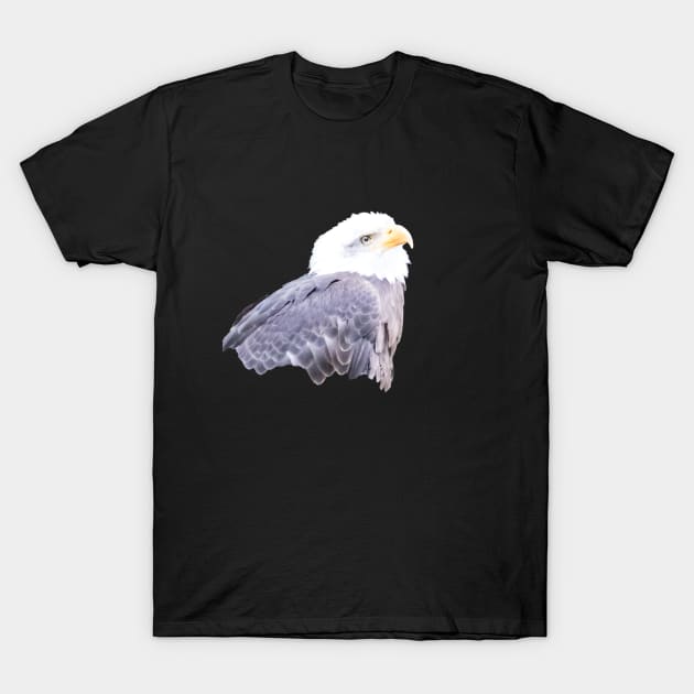 Baldeagle T-Shirt by Naturelovers